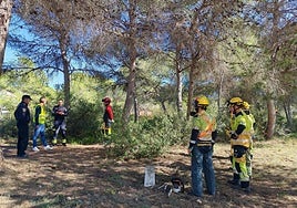 Bomberos participantes en las prácticas en el monte de Vilamarxant.