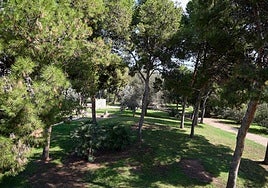Imagen del jardín del Turia, en Valencia.