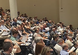 Asistentes al congreso.