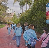 Día Solidario de Reale Seguros