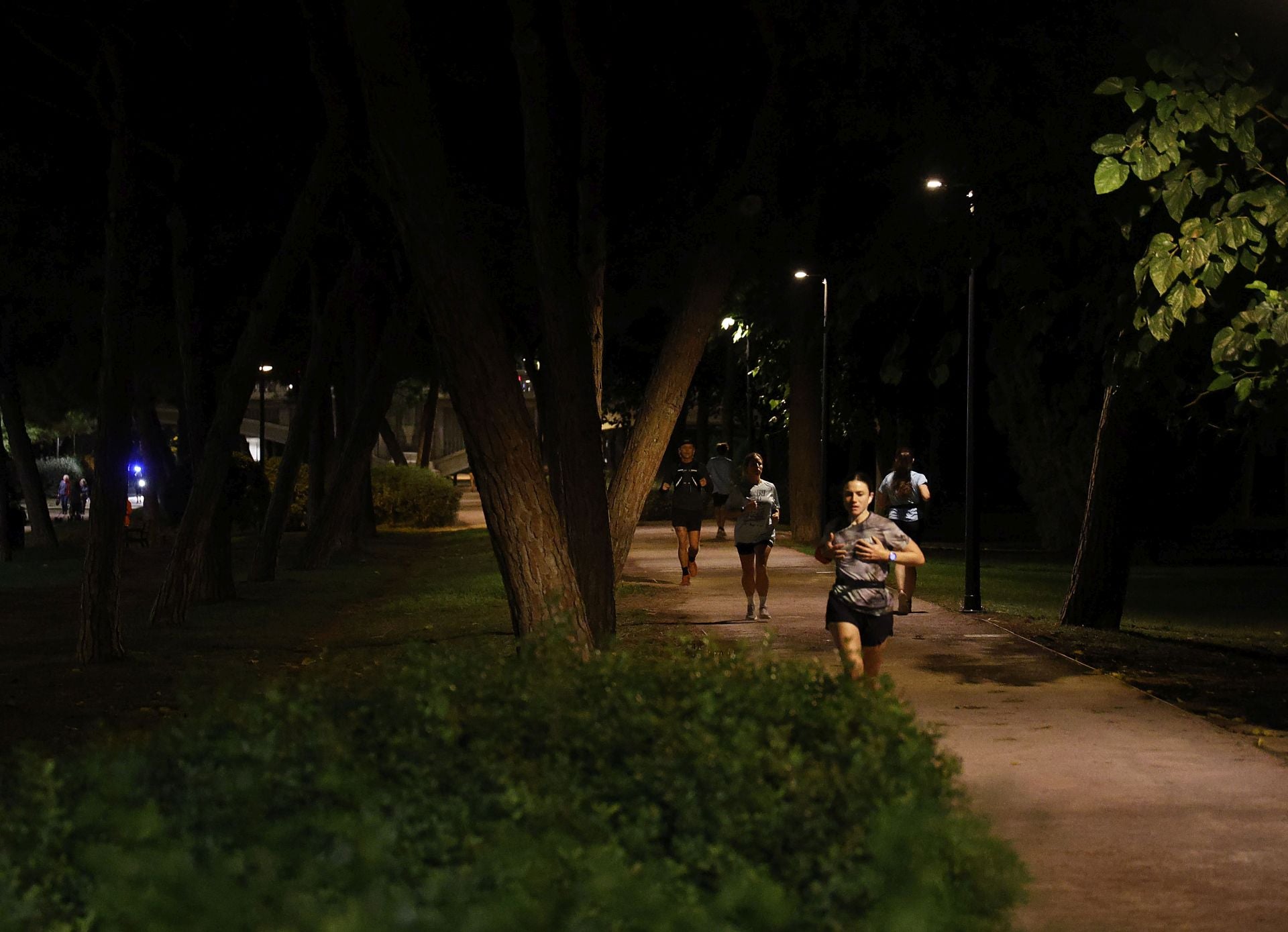 FOTOS | El jardín del Turia de Valencia, a oscuras
