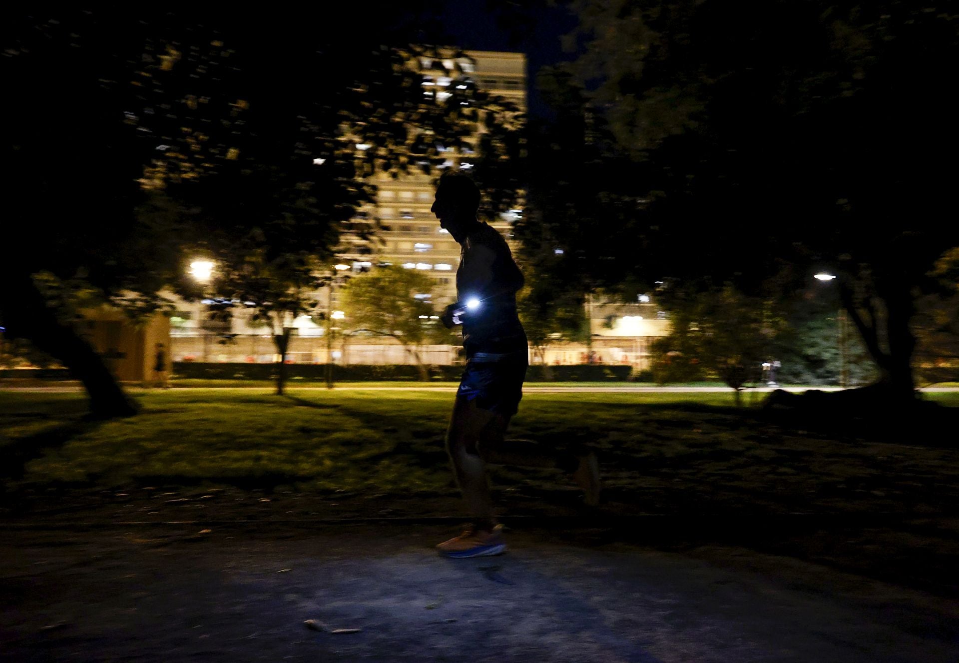 FOTOS | El jardín del Turia de Valencia, a oscuras