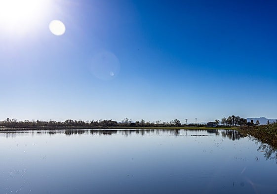 Un paraje de la Albufera.