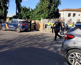 La operación policial desarrollada este viernes.