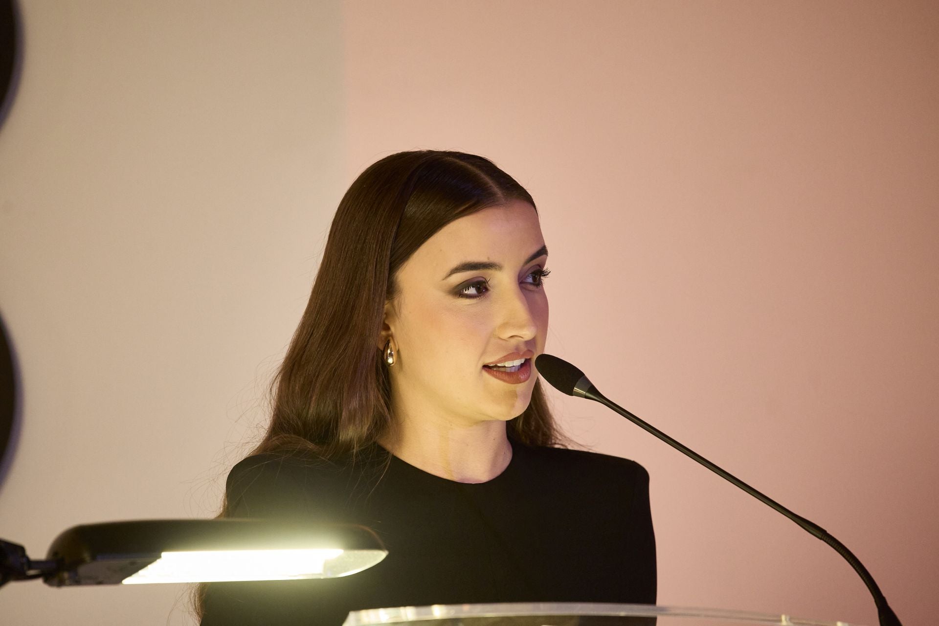 FOTOS | Así son los carteles de las Fallas 2026