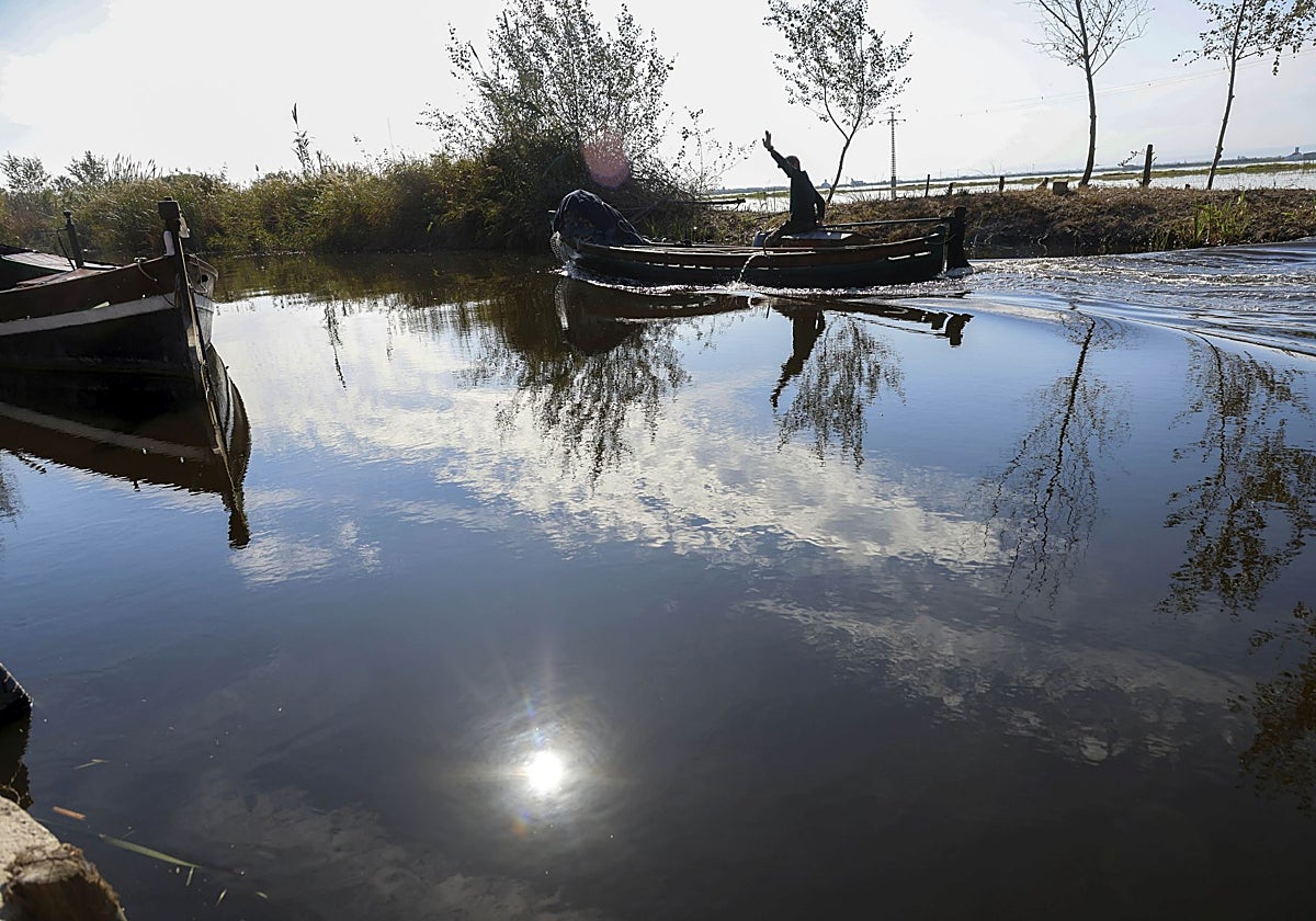 Aguas negras en la Albufera.
