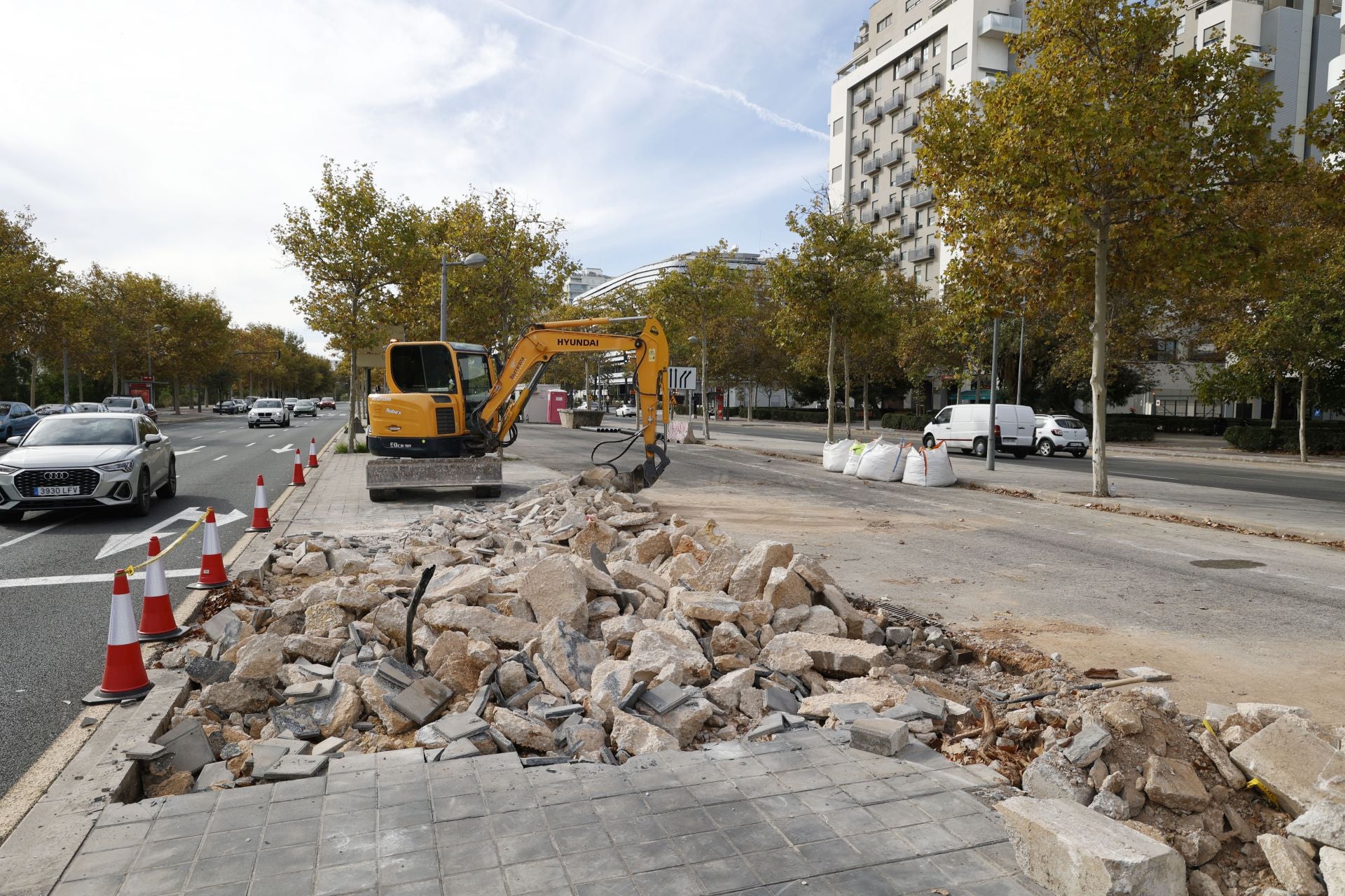 FOTOS | Obras de la EMT alrededor del Roig Arena