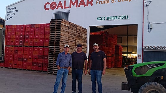 La resiliencia del cooperativismo agrario valenciano