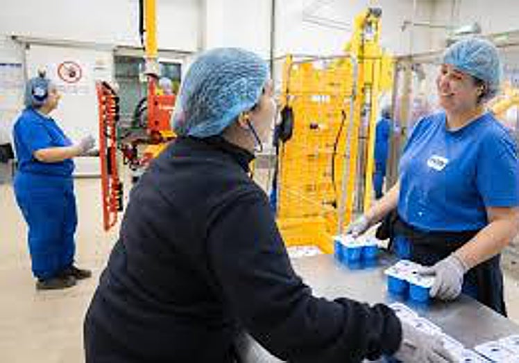 Trabajadoras de la cooperativa, con un pack de yougres.