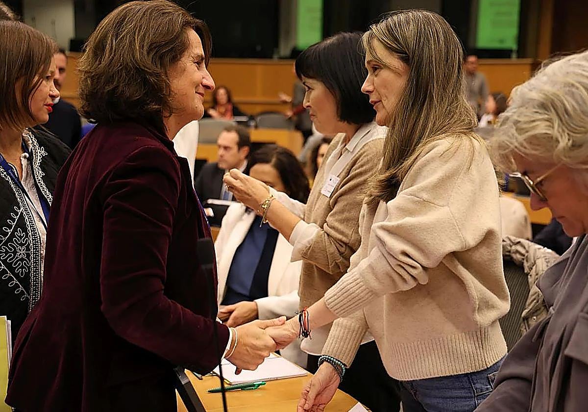 Teresa Ribera saluda a miembros de asociaciones de víctimas de la dana.