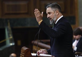 El líder de Vox, Santiago Abascal, interviene durante el pleno que celebra este miércoles el Congreso.