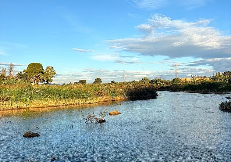Manises reconstruirá un colector junto al Turia que colapsó por la dana