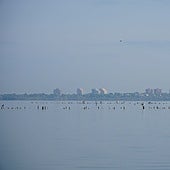 Una vista de la Albufera.