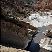 La Rambla Salada, un tesoro por descubrir.