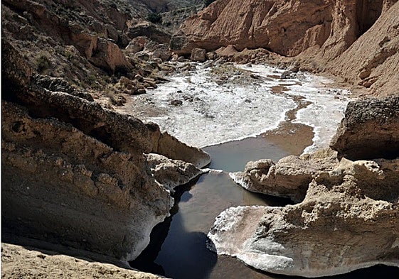 La Rambla Salada, un tesoro por descubrir.