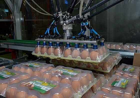 Cajas de huevos de Mercadona.