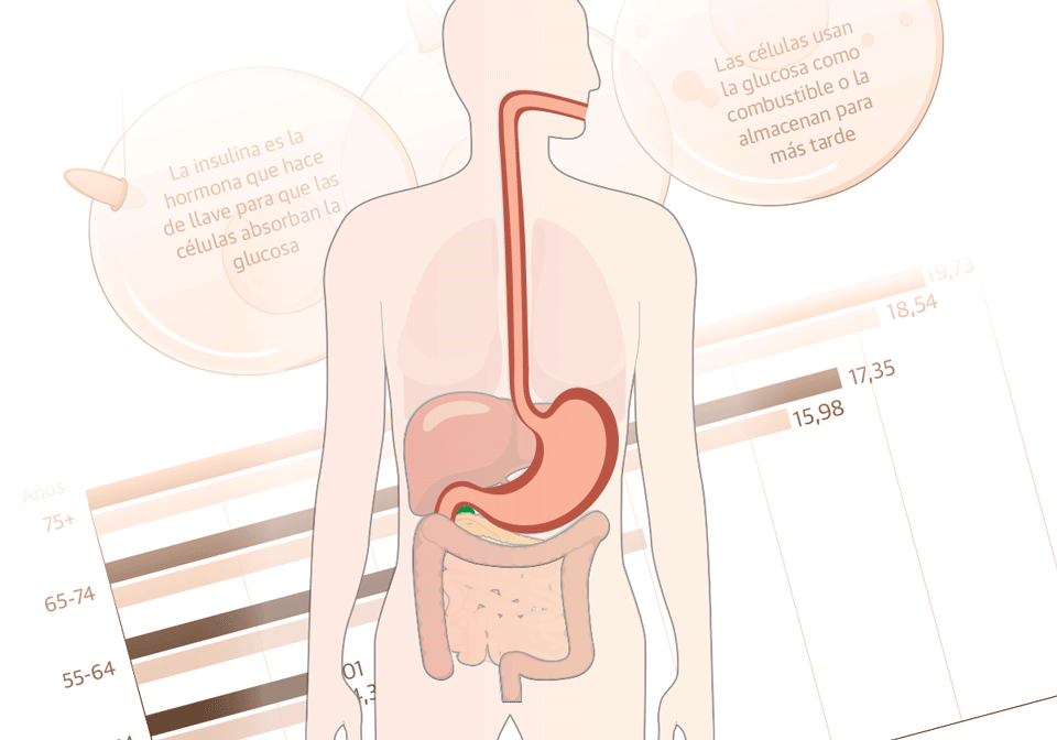 La resistencia a la insulina, nueva pandemia del siglo
