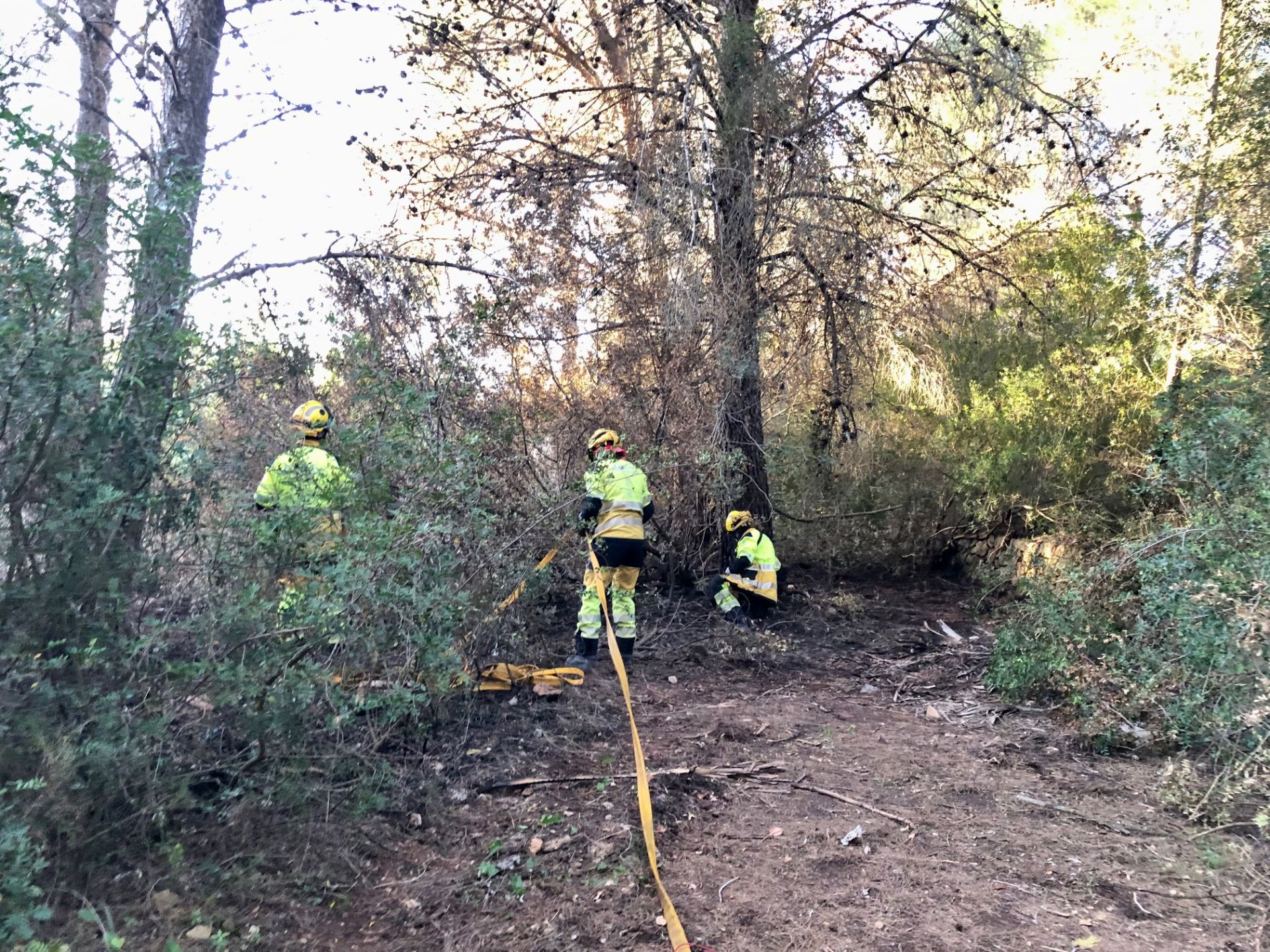 Bomberos forestales junto a uno de los focos.