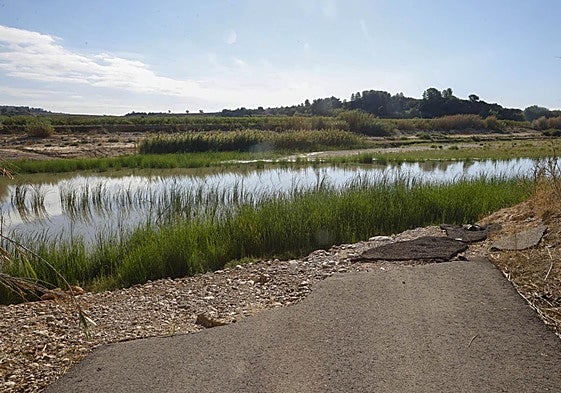 El río Magro a su paso por Alfarb.