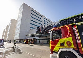 Los bomberos, el día del incendio en La Fe.