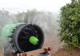 Tratamiento fitosanitario en cítricos con turboatomizador.