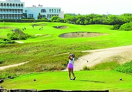 Un gran campo en El Saler.