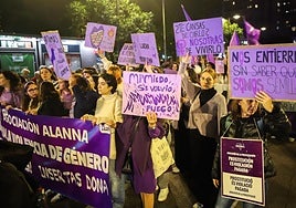 Manifestación del 25N del año pasado.