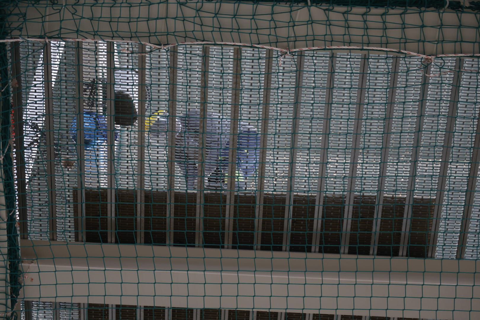 Así avanzan las obras de la gigafactoría de PowerCo en Sagunto