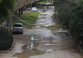 Reventón en el viejo cauce del Turia en Valencia