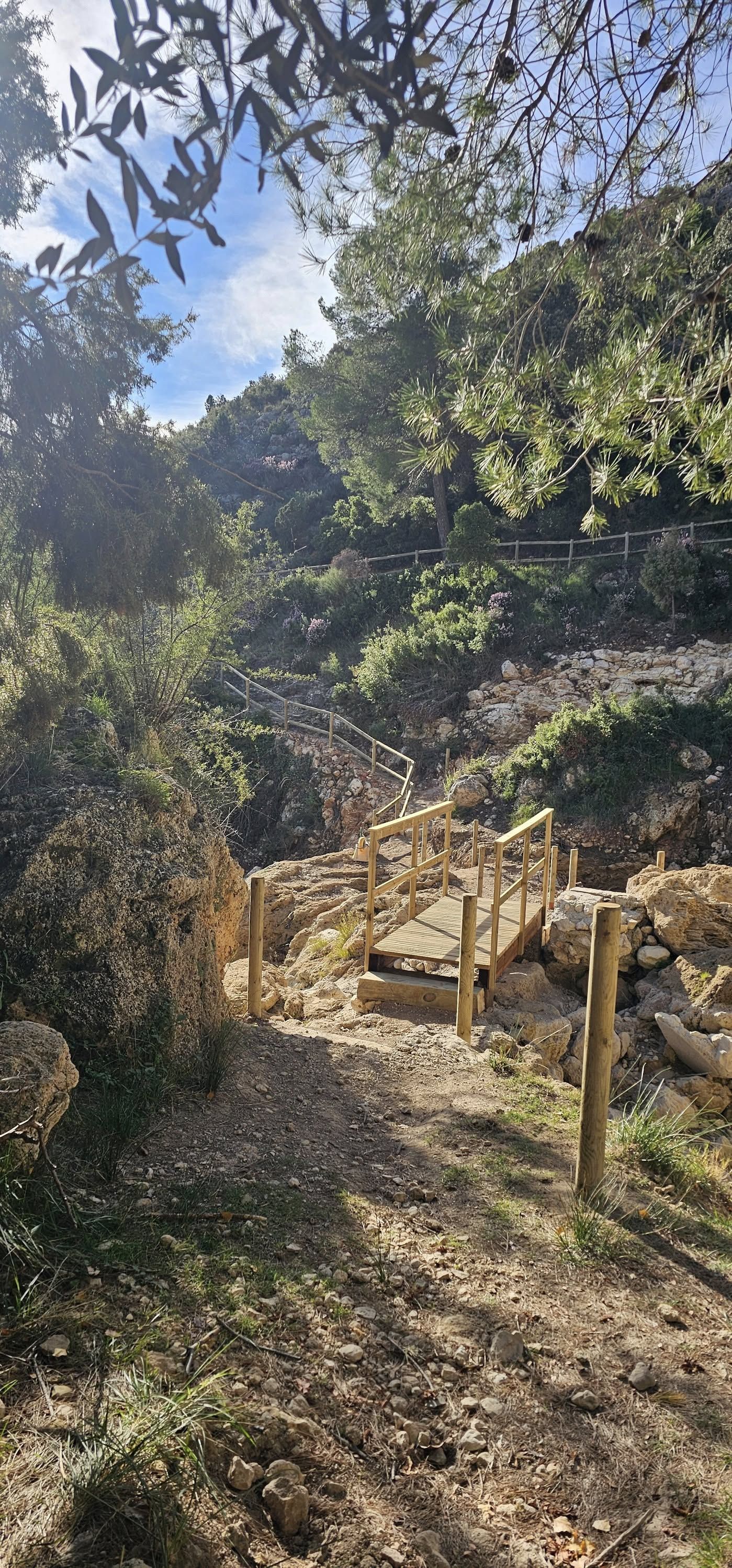 Zona recuperada en un paraje de Chera.