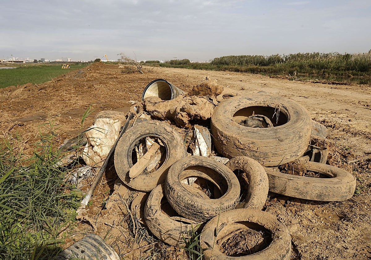 Restos arrastrados por la barrancada del 29-O a la Albufera.