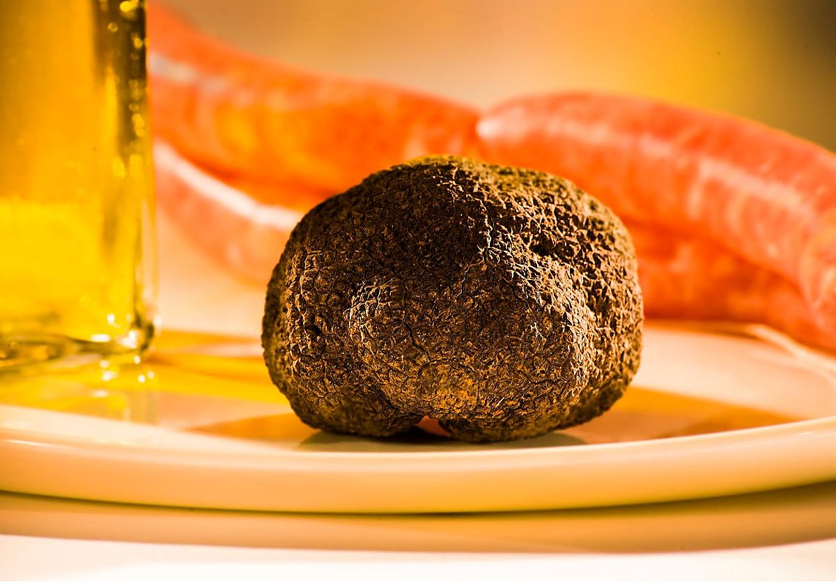 Trufa negra de El Toro.