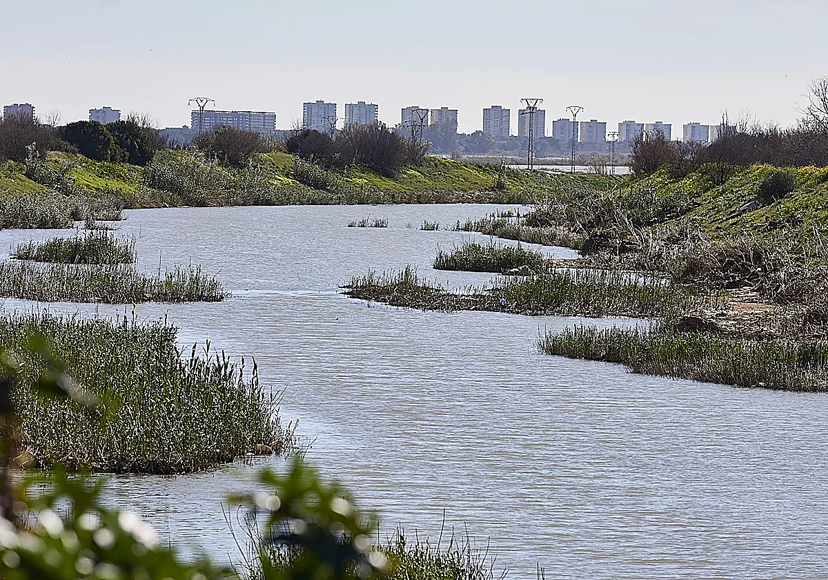 Barranco del Poyo a su paso por la Albufera.