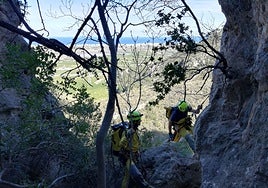 Especialistas en montaña de los bomberos trabajan en un rastreo, en una imagen de archivo.