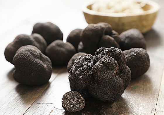 La trufa negra de Teruel.