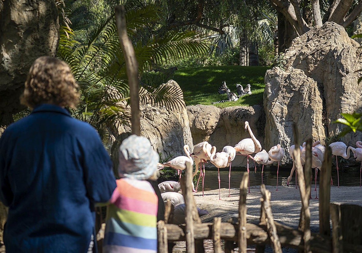 Visitantes en el Bioparc.