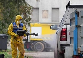 Medios de la UME para el control de la peste porcina