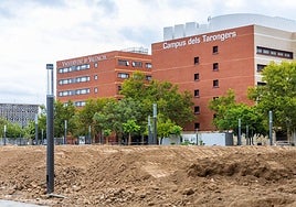 Camopus de Tarongers en un imagen de archiivo.