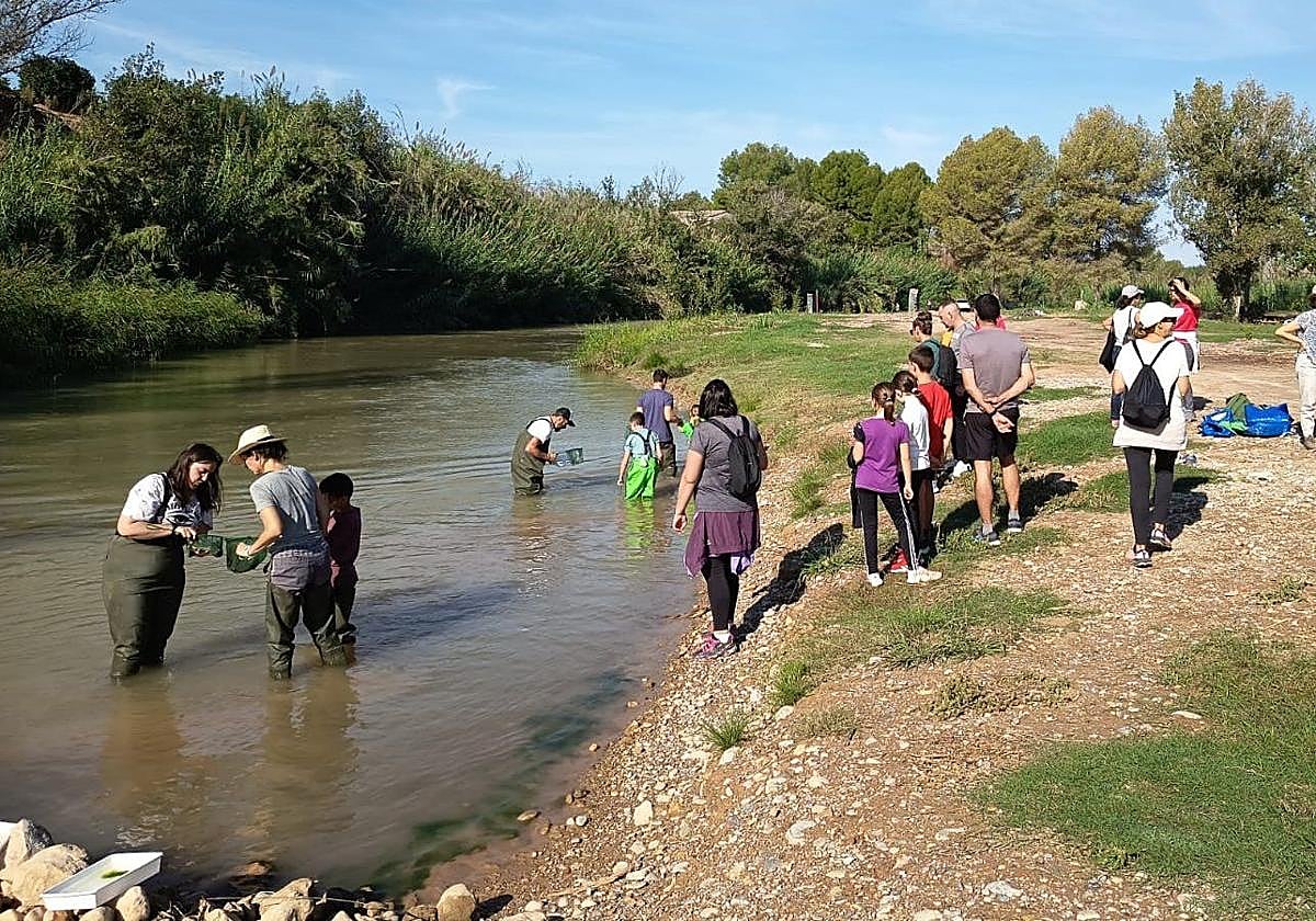 Jornada en Pedralba organizada por la Fundación Limne en el río Turia.