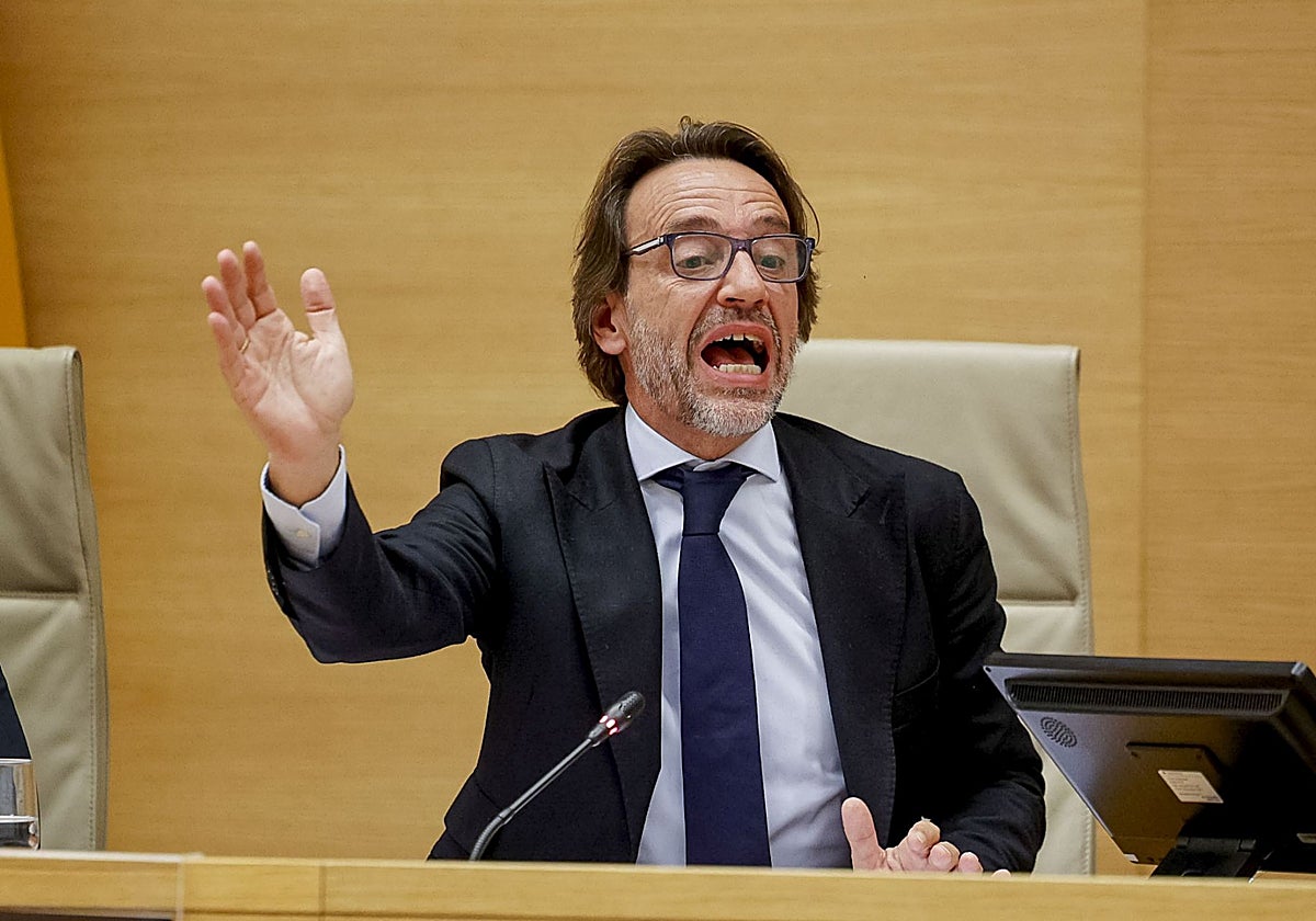 José Manuel Cuenca, en su comparecencia en el Congreso.