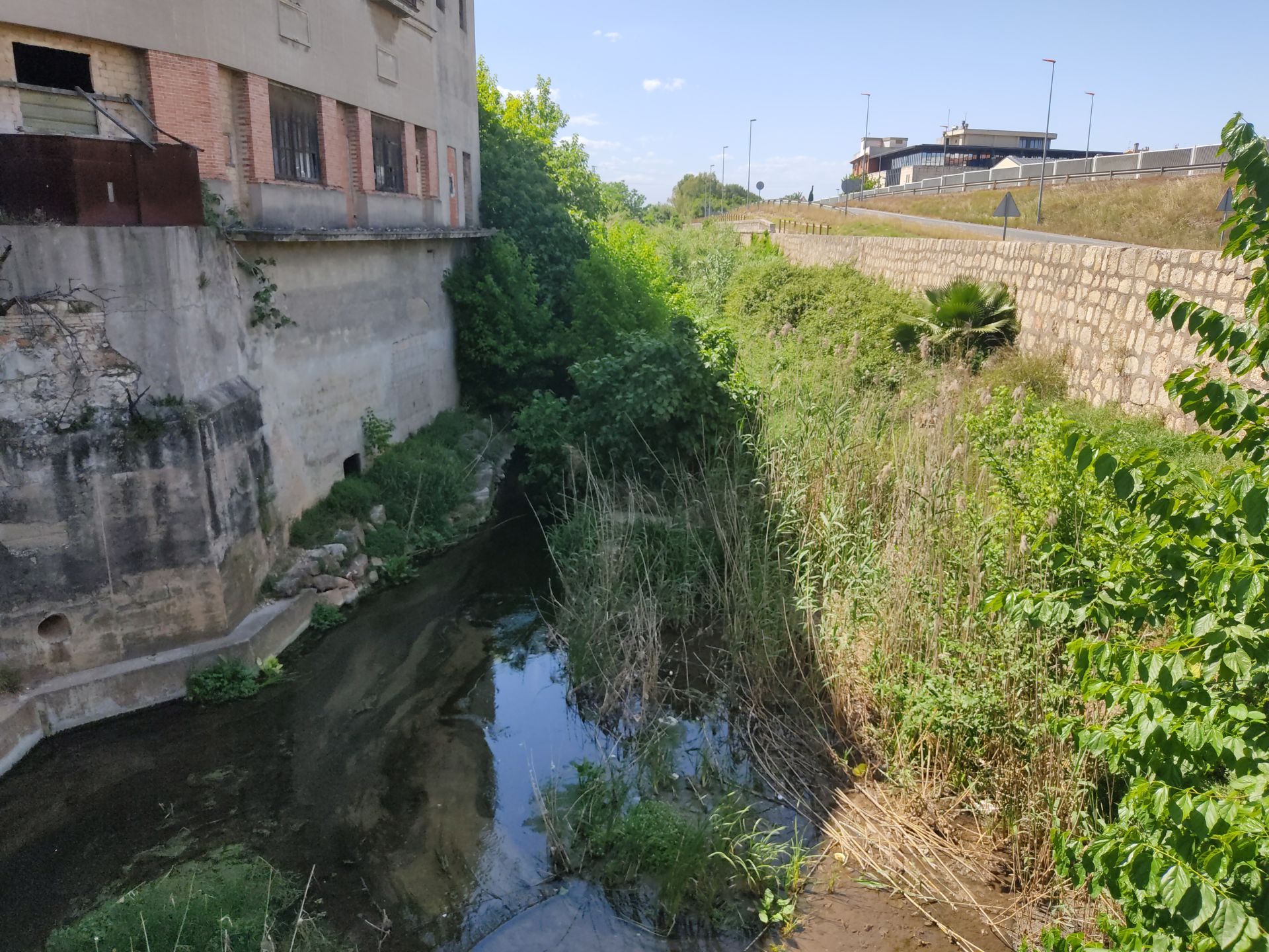 Barranco de la Casella en Alzira.
