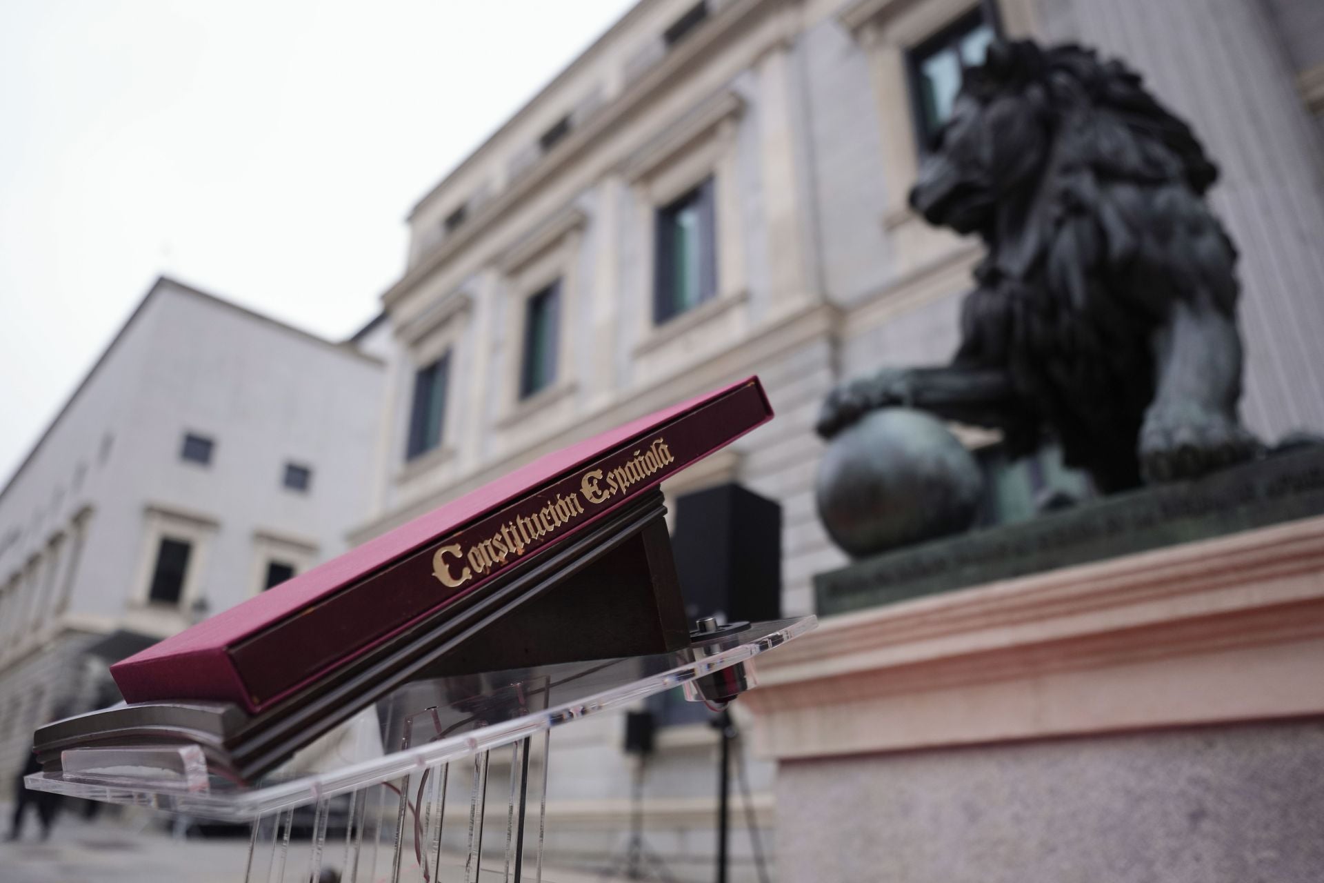 Fotos del Día de la Constitución