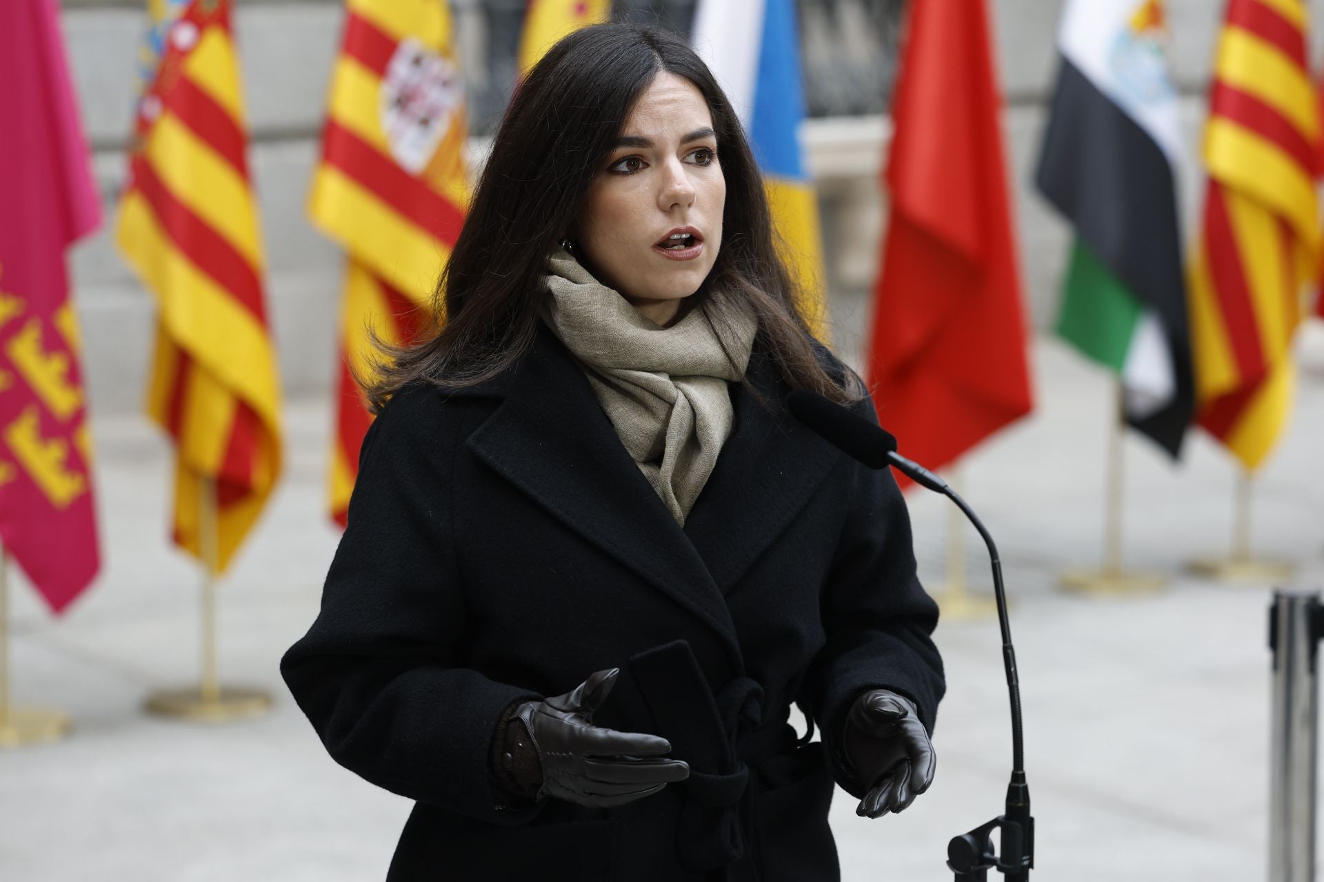 Fotos del Día de la Constitución