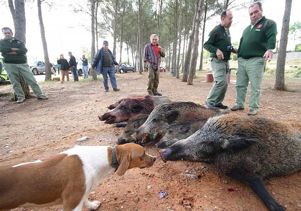 Batida de cazadores en el Desert de les Palmes en una imagen de archivo.
