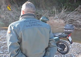 La Guardia Civil detiene a un cazador furtivo por abatir a un macho montés en Navarrés