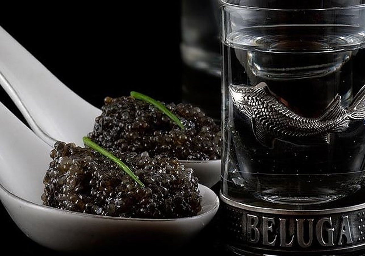 Caviar de esturión beluga.