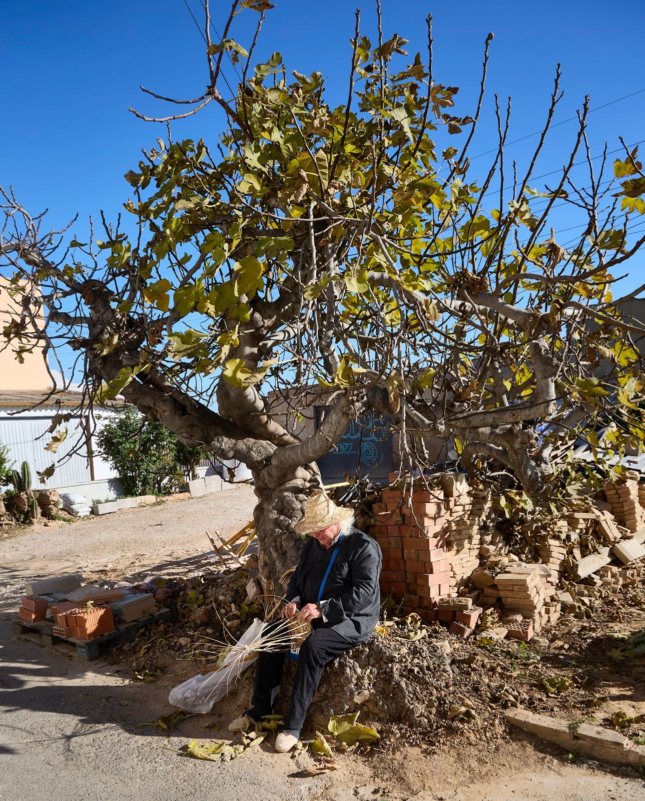 FOTOS | La Festa de l&#039;Horta regresa a Horno de Alcedo