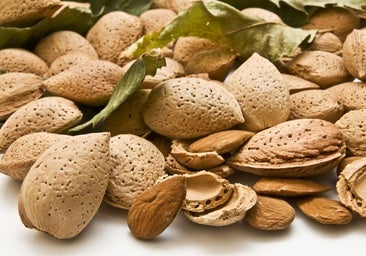 Alberto San Agustín, médico: «Las almendras hacen que se retire más rápido el colesterol que ya circula»