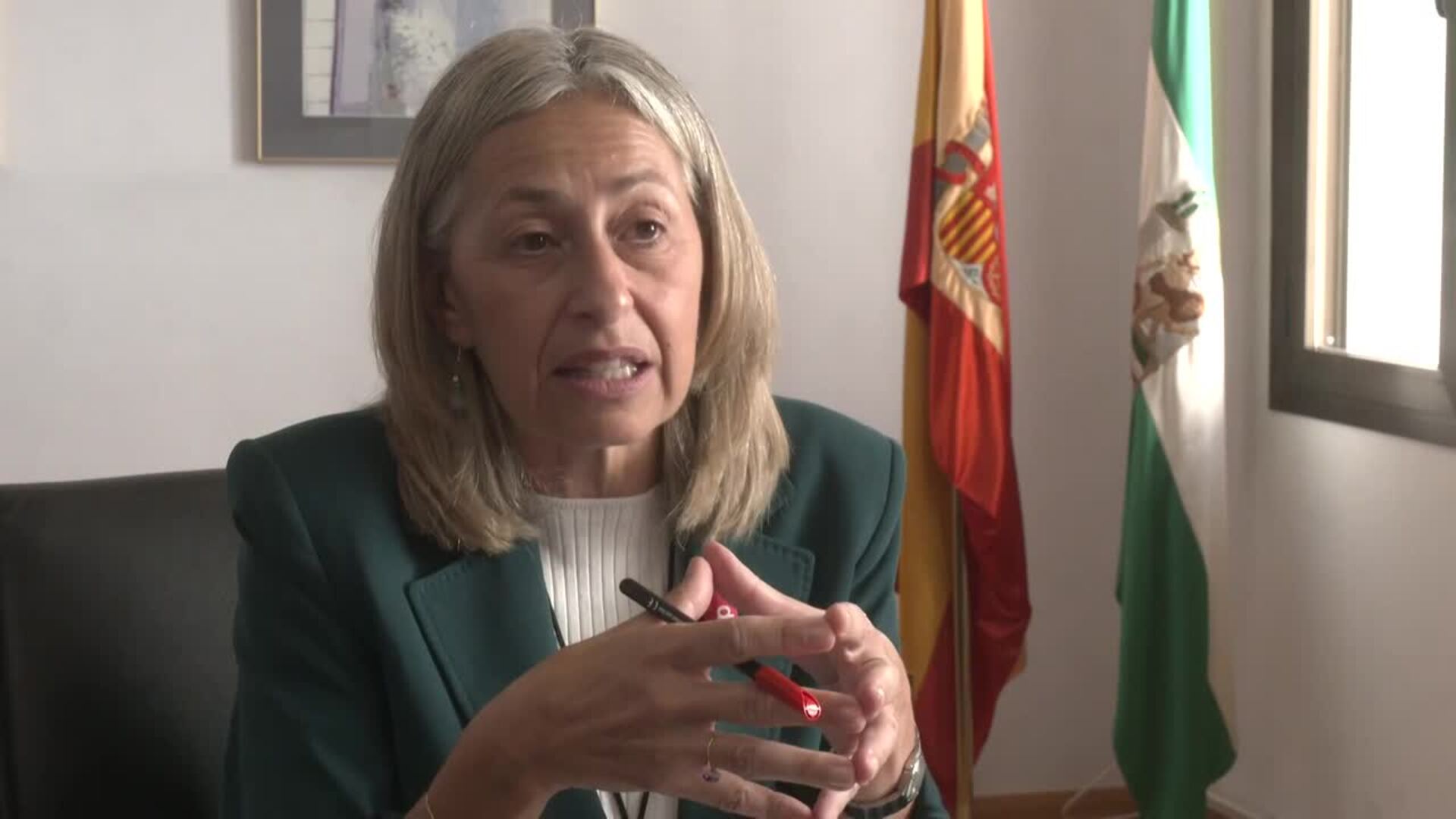 Hernández (Salud Andalucía) pide a población y sanitarios respeto y empatía ante agresiones