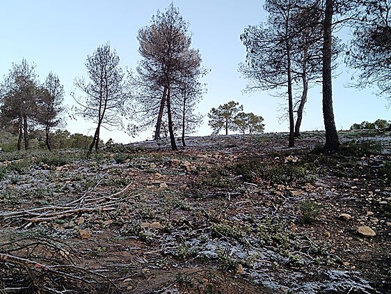 Muy poca nieve pero temperaturas bajo cero en la Canal de Navarrés